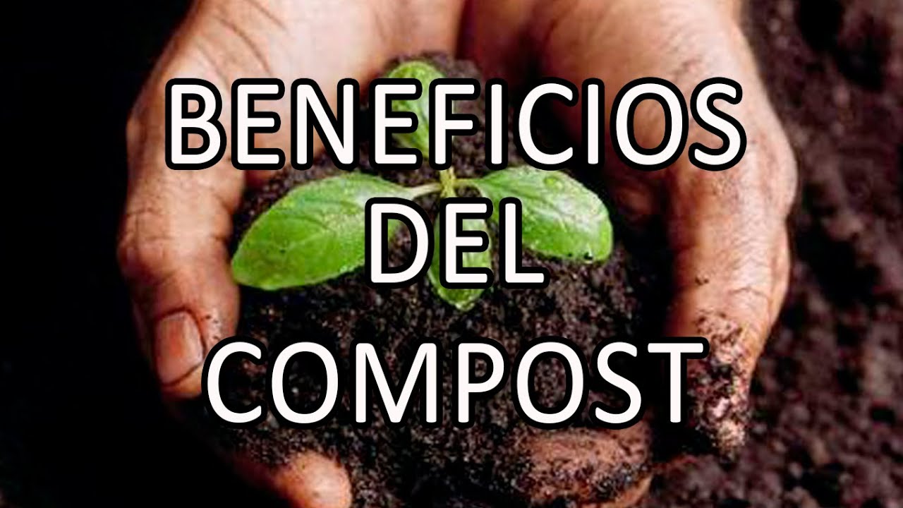 Compost