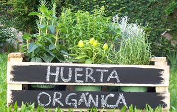 Huerta orgánica
