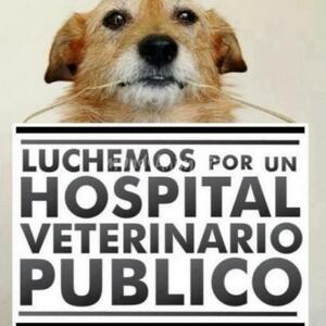 Hosp Vet Publico
