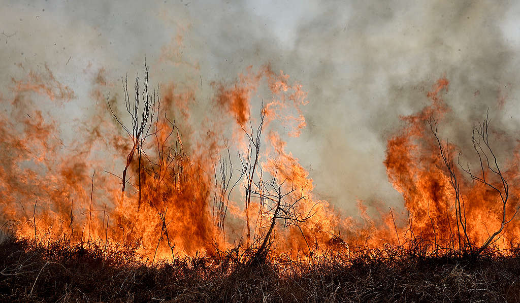 Incendio en el Bolsón