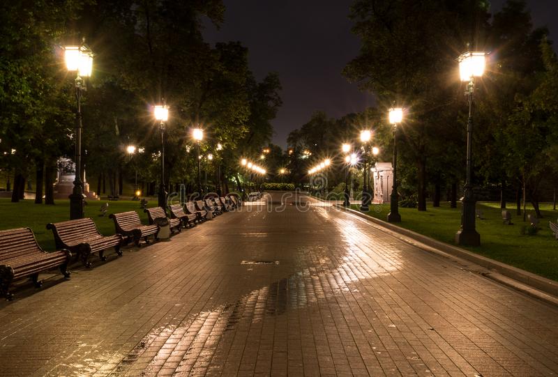 Noches de verano